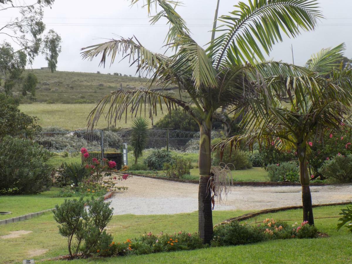 Haka Hana B&B Port Elizabeth Exteriér fotografie